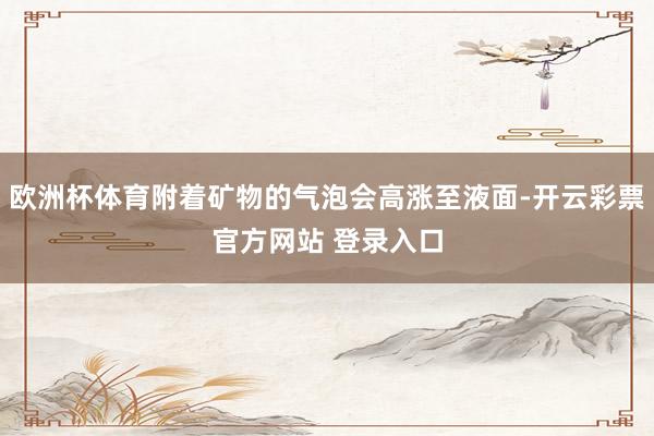 欧洲杯体育附着矿物的气泡会高涨至液面-开云彩票官方网站 登录入口