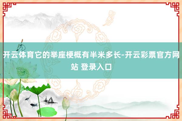 开云体育它的举座梗概有半米多长-开云彩票官方网站 登录入口